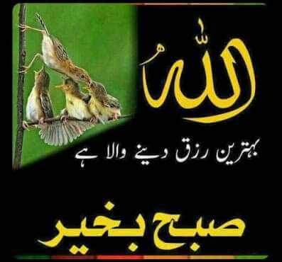A_HakeemBaloch's tweet photo. Subha Bakhair https://t.co/TTm9RyLbPd