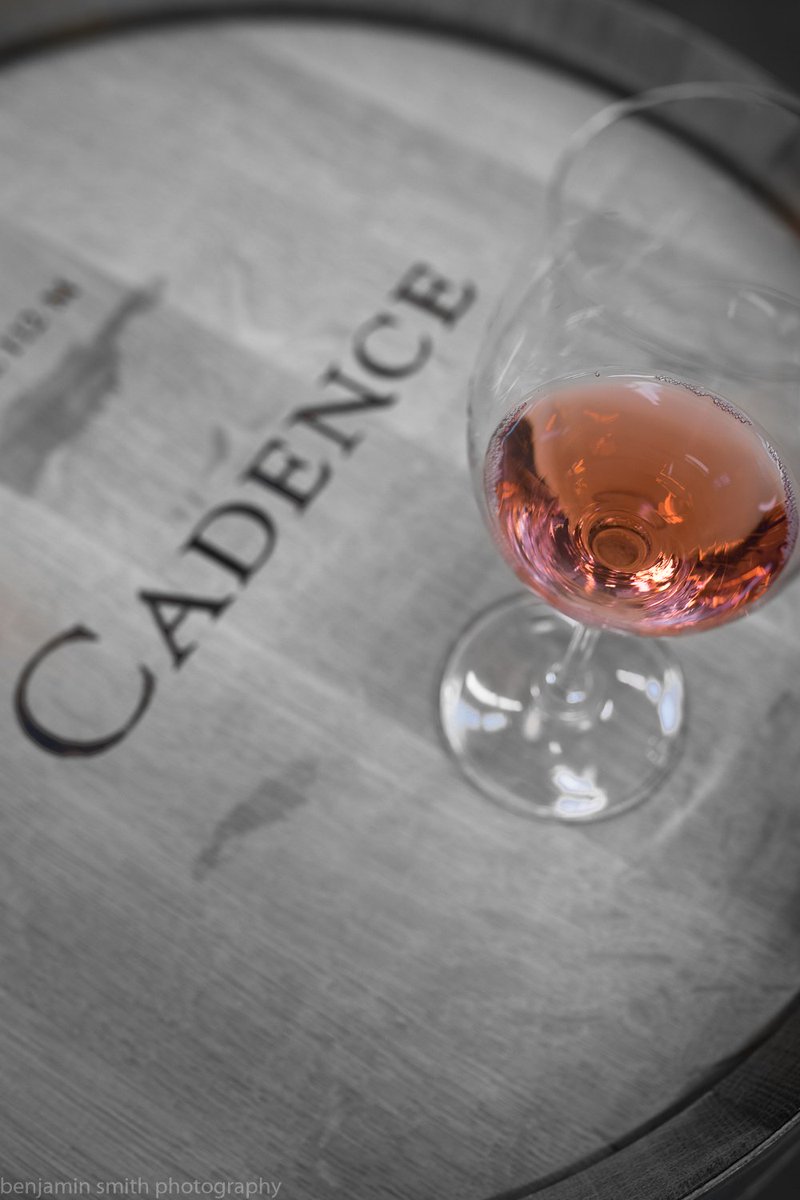 Think Pink, y'all.  Soon rose season will be upon us.