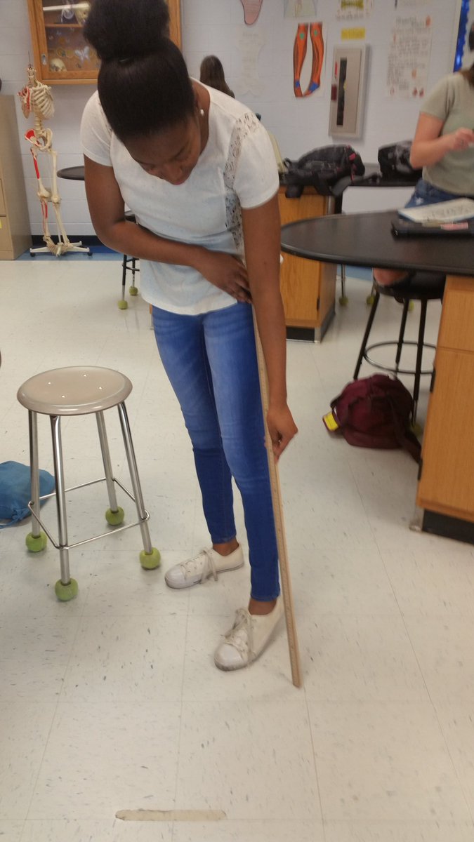 krob5570's tweet photo. Using femur lengths to estimate height. #anatomy #ahsengagement https://t.co/a2JxhFpEpr