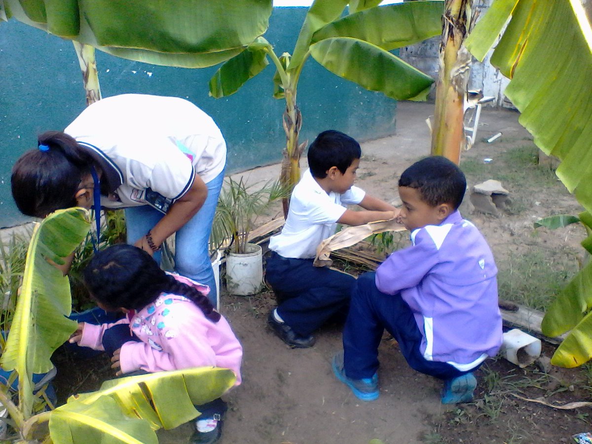 Circuito25heres's tweet photo. Planteles del @Circuito25heres activos con la Revolucion Productiva, Siembra, Mantenimiento y Elaboracion de Compost y  Humus de Lombriz casero @JauaMiranda @eugeniapinero @dceupbol1#JuntosTodoEsPosible  @RosangelaOrozco https://t.co/8JC1o1ybc9