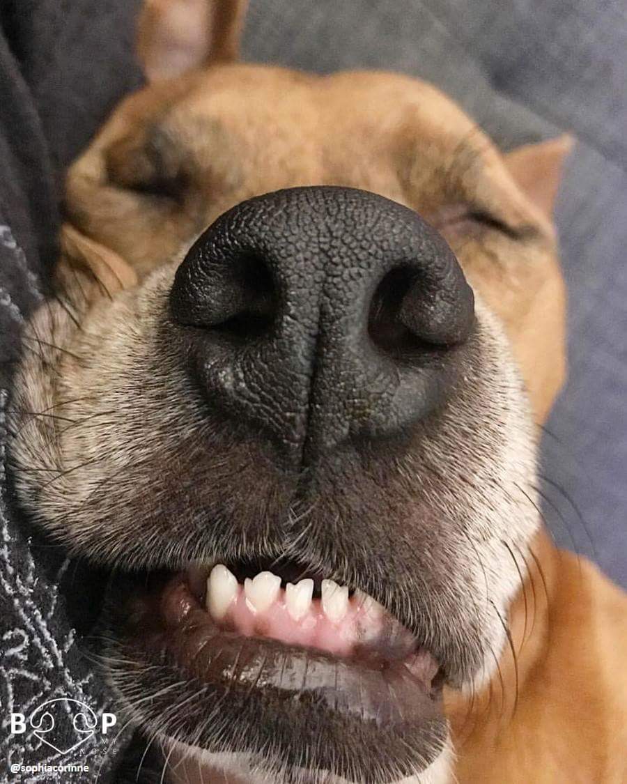 Joonie900's tweet photo. Me savoring my 2days off 😬 https://t.co/SCw7QNNr6k