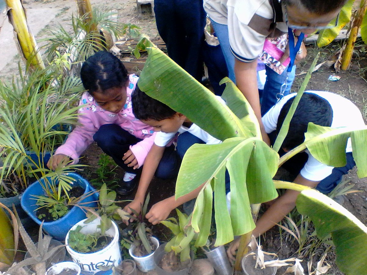 Circuito25heres's tweet photo. Planteles del @Circuito25heres activos con la Revolucion Productiva, Siembra, Mantenimiento y Elaboracion de Compost y  Humus de Lombriz casero @JauaMiranda @eugeniapinero @dceupbol1#JuntosTodoEsPosible  @RosangelaOrozco https://t.co/8JC1o1ybc9