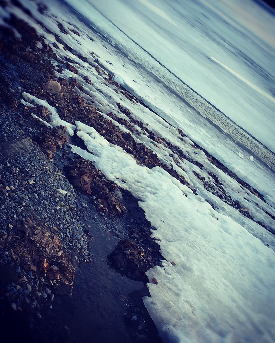 Rachel23420's tweet photo. #canadiangirl #dailyadventure #beautifulday #pretty #warmweather #coupledeer #keepadventuring #newstuff #scenary #stlawrenceriver https://t.co/me9XKlqz7k
