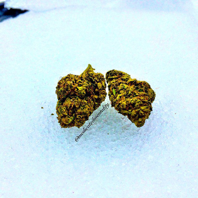 allweednews8's tweet photo. FIRE AND ICE 🔥🔥🔥❄️❄️❄️👌👌👌 #medicatedmentality #staylifted #nugs #snow #scenictokers #massroots #fueledbythc #stankyydankyy #justblaze #dopemeds #prop215 #medicated #topshelflife #highsociety #cannabis #hightimes #dankreels #smokesocial https://t.co/z48o5ntcz2