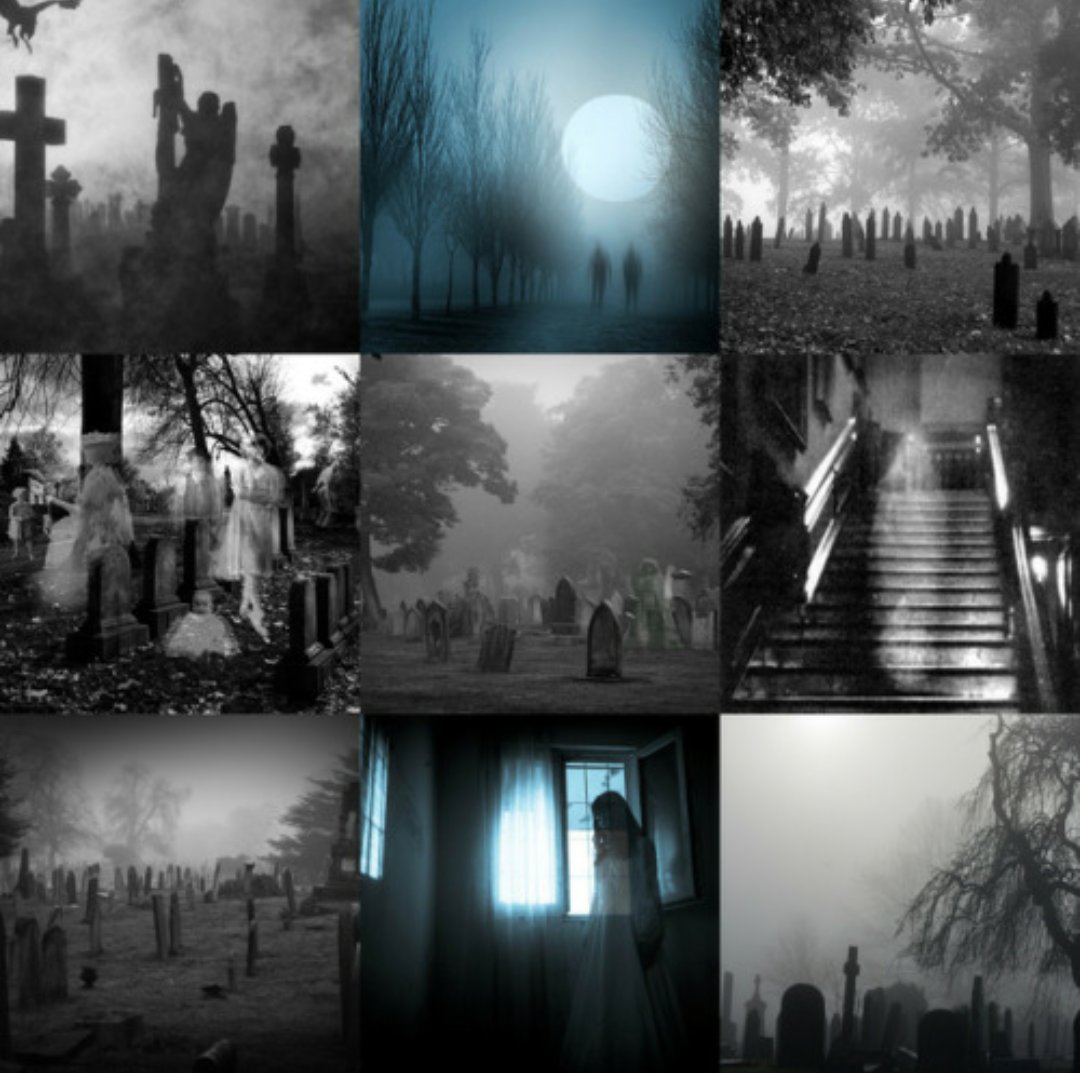 📖 Di@ry ☣f A Madm⚠n 📖 tweet media