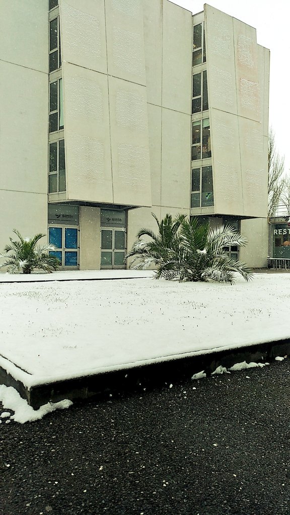 Sispyme1's tweet photo. Amanecemos con nieve en nuestra sede del @PTAsturias https://t.co/lgnv8myhTE