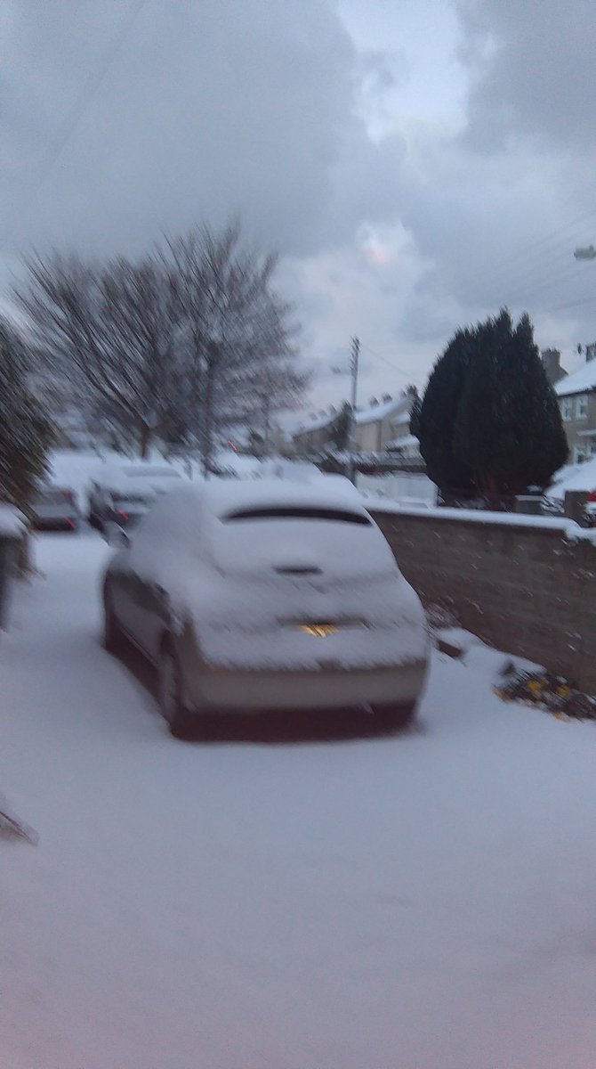 fabmror's tweet photo. Earlier this morning. @Drniallmc @HeidiMessenger @seanna68 @Annehug @sharongrimes1 @rflooonz @annagrayauthor @Ugmugg @Meghann_Scully @JohnMadden1 @DrConorHogan https://t.co/DpgVePool7