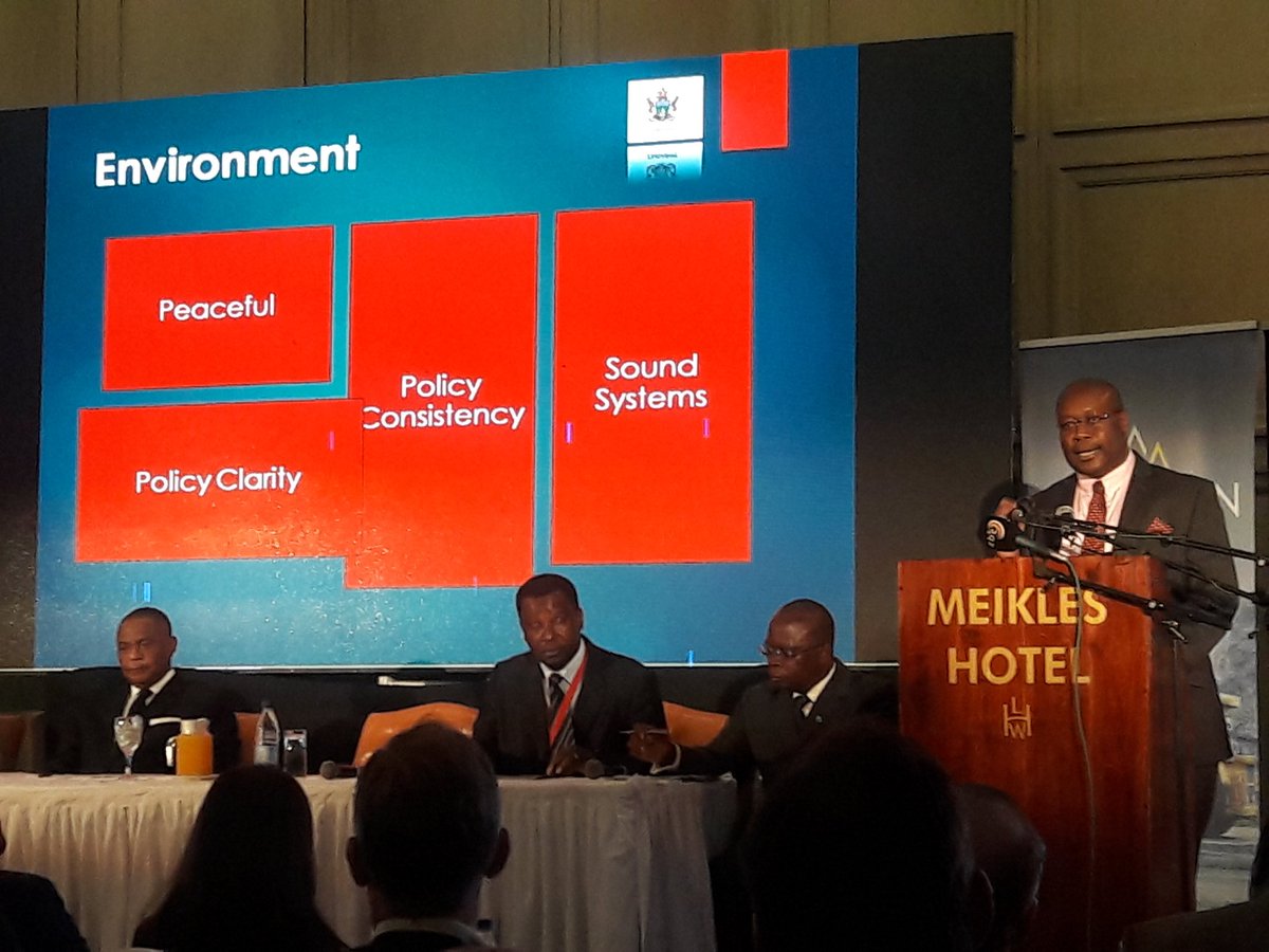 Duduzile Nyirongo tweet media