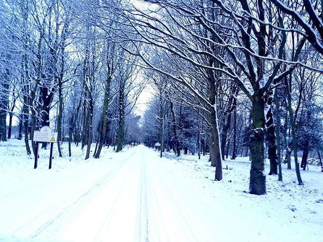 RossingtonHall's tweet photo. The driveway looking rather spectacular in the snow.....if not a little slippy! 
#beastfromtheeast #snowdays #driveway #winterwedding #justasprinkle #drivecareful https://t.co/dhMXyzPWVF https://t.co/Enjsl1HBQI