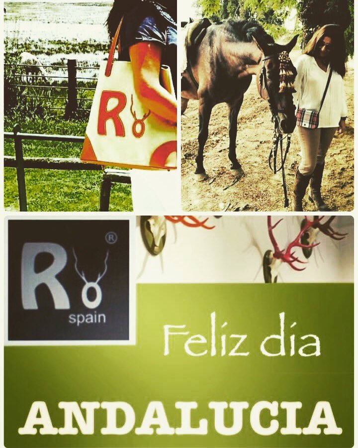 spain_ro's tweet photo. #diseñosRö #diseñoandaluz #andalucia #28f #modaandaluza #tendencias #andaluciademoda #verdequetequieroverde #mitierra @flamencayole @PepeluArteSacro @Nesy21 @ChicShoppingSev @Maria_Rocio_L @LifeLoversBcn @QueridasFashion @flashmodainout @trendencias https://t.co/CAFxaR1H5F