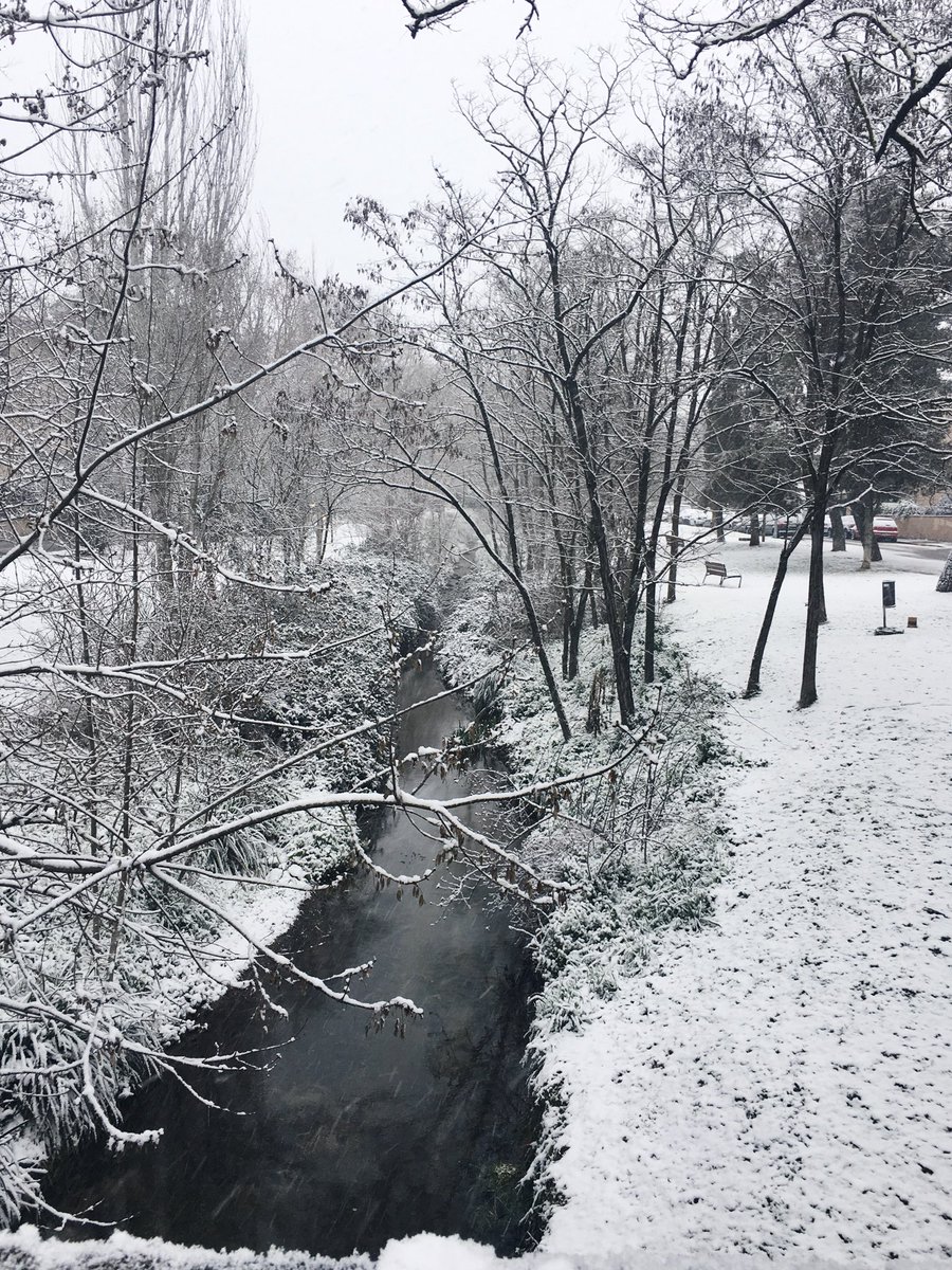 xantttal's tweet photo. Així ens hem llevat a Cardedeu! La neu ha deixat paisatges preciosos. #eltempstv3 #324eltemps #neu #meteocat https://t.co/LJYTe8LqZo