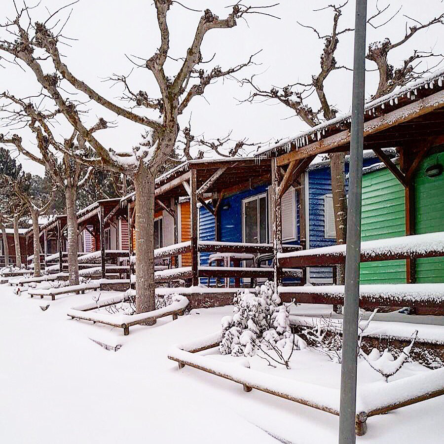 campingprades's tweet photo. Nevada a Càmping Prades!! @meteocat @MeteoMauri @tv3cat 
#Neucat #Nevada https://t.co/ZsX454MfLe