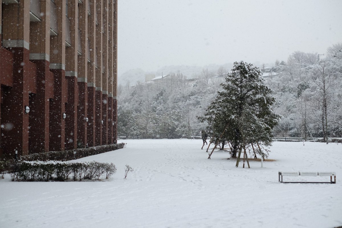 今日で2月も終わり。今年の冬は寒かったですね☃️
キャンパスは、雪が深く積もる事はありませんでしたが、粉雪が吹雪いたり、噴水が凍る日が多かったです。
 *今日のキャンパスは雨がふったり止んだり、霧がかったり、どんより曇り空です。
#Throwback #Springiscomingsoon #ShapeYourWorldAPU