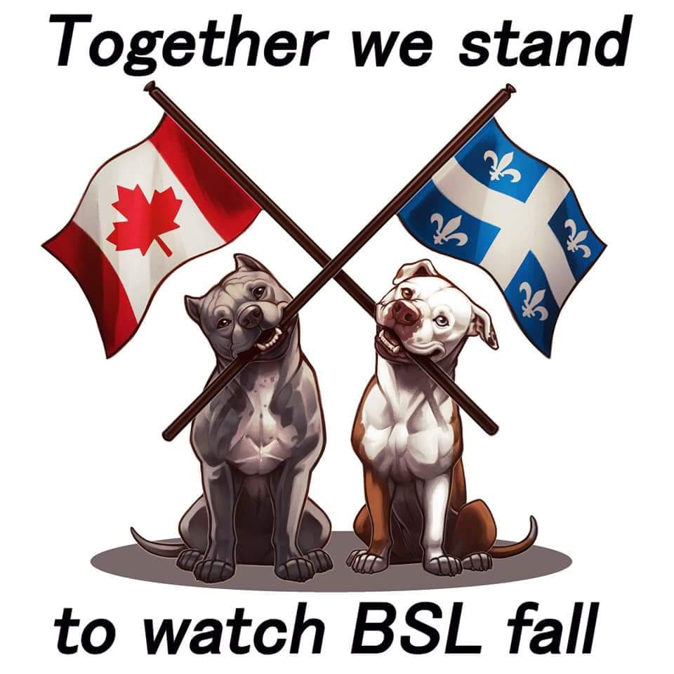 JFBCSA's tweet photo. If Bill 128 is passed in Quebec, it will be the 2nd province wide ban in Canada. #StopBill128

https://t.co/NYkFqJ7QFQ https://t.co/BLfs2qrN5D