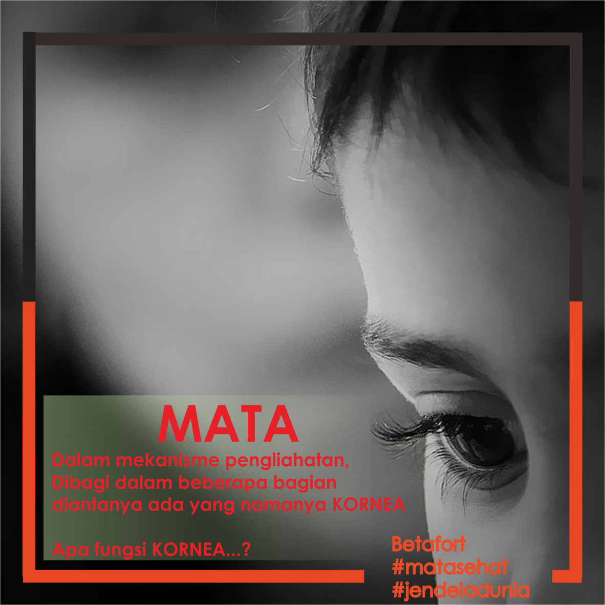 OtcPhapros's tweet photo. Cek #kuis Betafort di https://t.co/x8oa05G0jk

dan juga disini 
https://t.co/TayRYiRTsw

Selamat mengikuti semoga beruntung

RT ya guys https://t.co/GrYdySVZtr