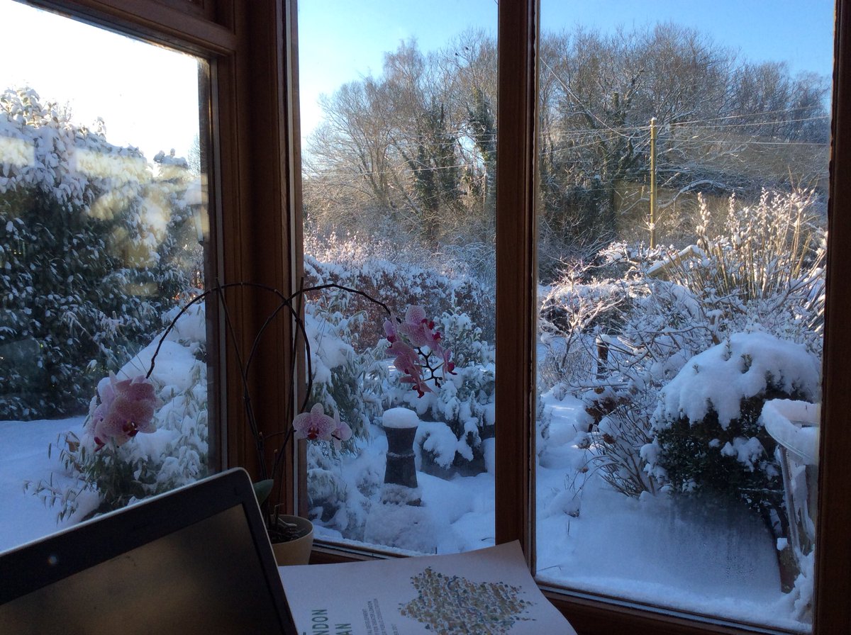 _NatalieChapman's tweet photo. Beautiful view from my office today #workingfromhomeagain #BeastFromTheEast #EastSussex https://t.co/ytHmrLxLkm