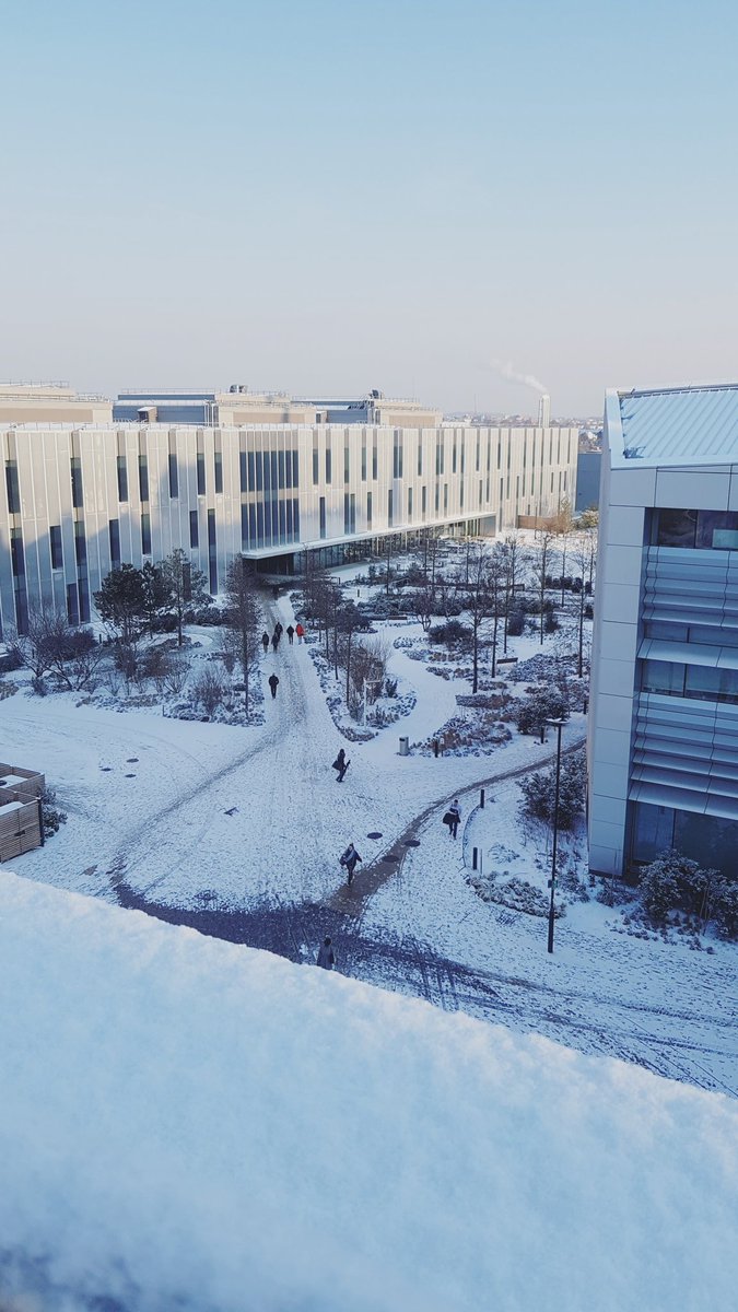 kelseybnz's tweet photo. Beautiful day at Sky today ❄ Perfect weather for a @Unionroasted Hot chocolate ☕  #LifeatSky @Gatherandgather https://t.co/po8tuk60LM