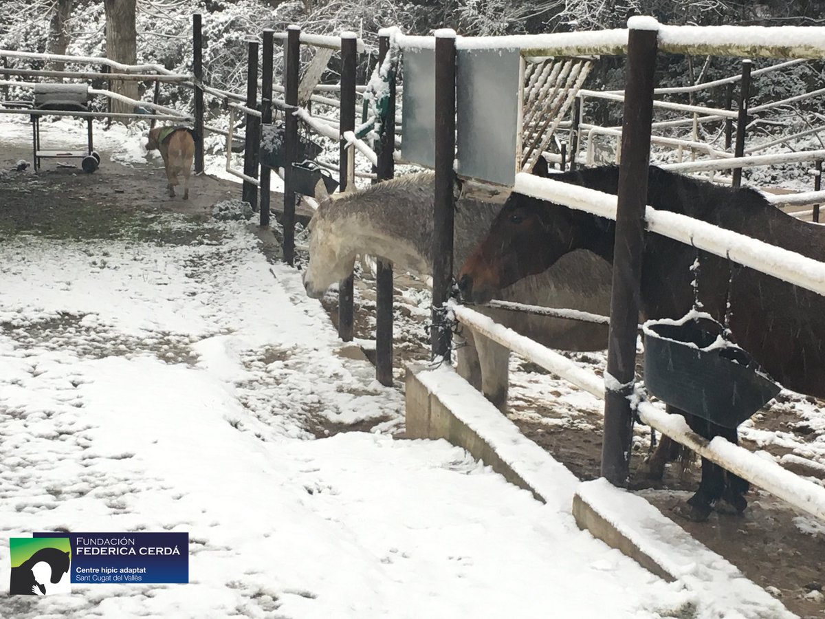 Así hemos amanecido! La  #hipoterapia se cancela hoy debido a la #nieve 
Ahora vamos a abrigar a nuestros caballos⛄️