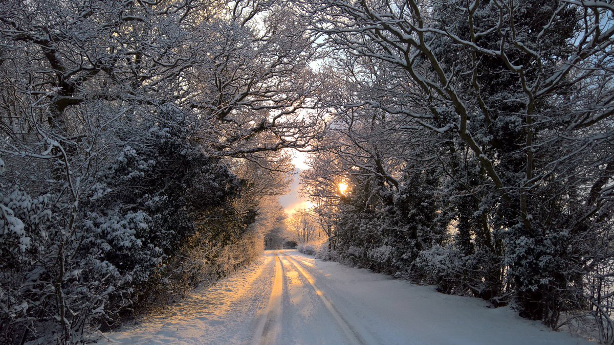 BenRigbyGame's tweet photo. Beautiful Essex morning... https://t.co/61rpZa1qAQ