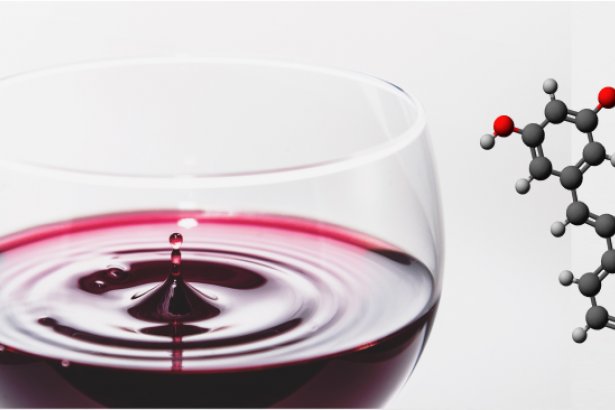 Kırmızı şarap kalp hastalıklarından nasıl koruyor?
haber.sol.org.tr/bilim/doga-bil…