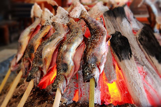 Many homesteads raised fish, and skewered grilled fish (Ayu no shioyaki) is still a national delicacy. The irori was the perfect way to prepare it: just roll it in salt and stick it near the charcoal.