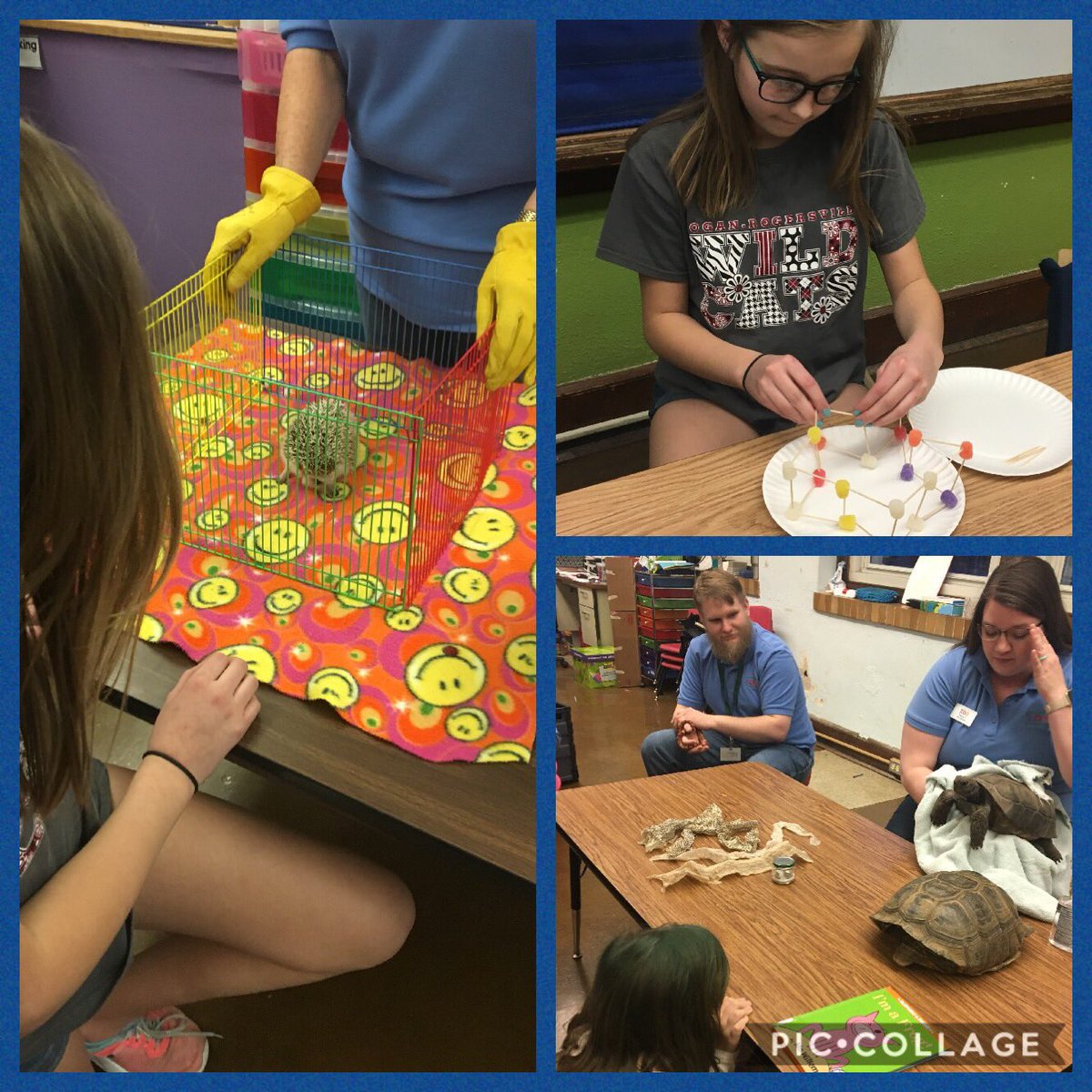Campbell_SPS's tweet photo. What a great family night filled with learning here @Campbell_SPS Thank you to all of the families that came out to support their child's learning and have fun. #spslearning #steamsps @officialSPS https://t.co/TszOas9HTT