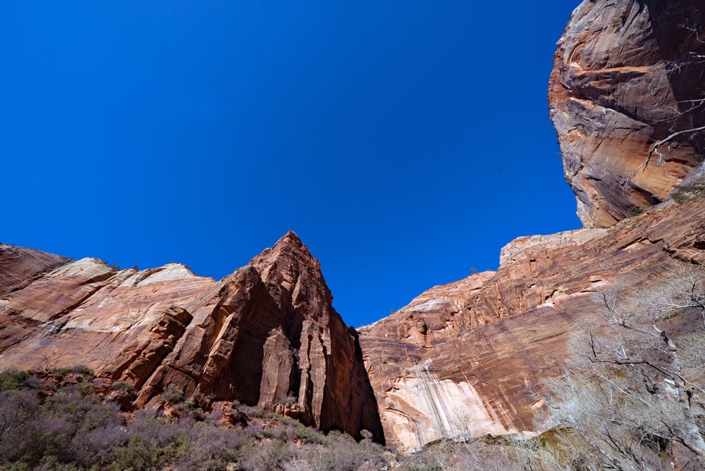 ByJeanMichel's tweet photo. It was a very beautiful day at Zion National Park. The blue sky was au rendez-vous, it made my day as a photographer. The color and landscape are breathtaking! #Landscapephotography #liveouutdoors #ig_colors #nature #agameoftones #travelandlife #explorers #zionnationalpark #zion https://t.co/uY9OTcCn1W