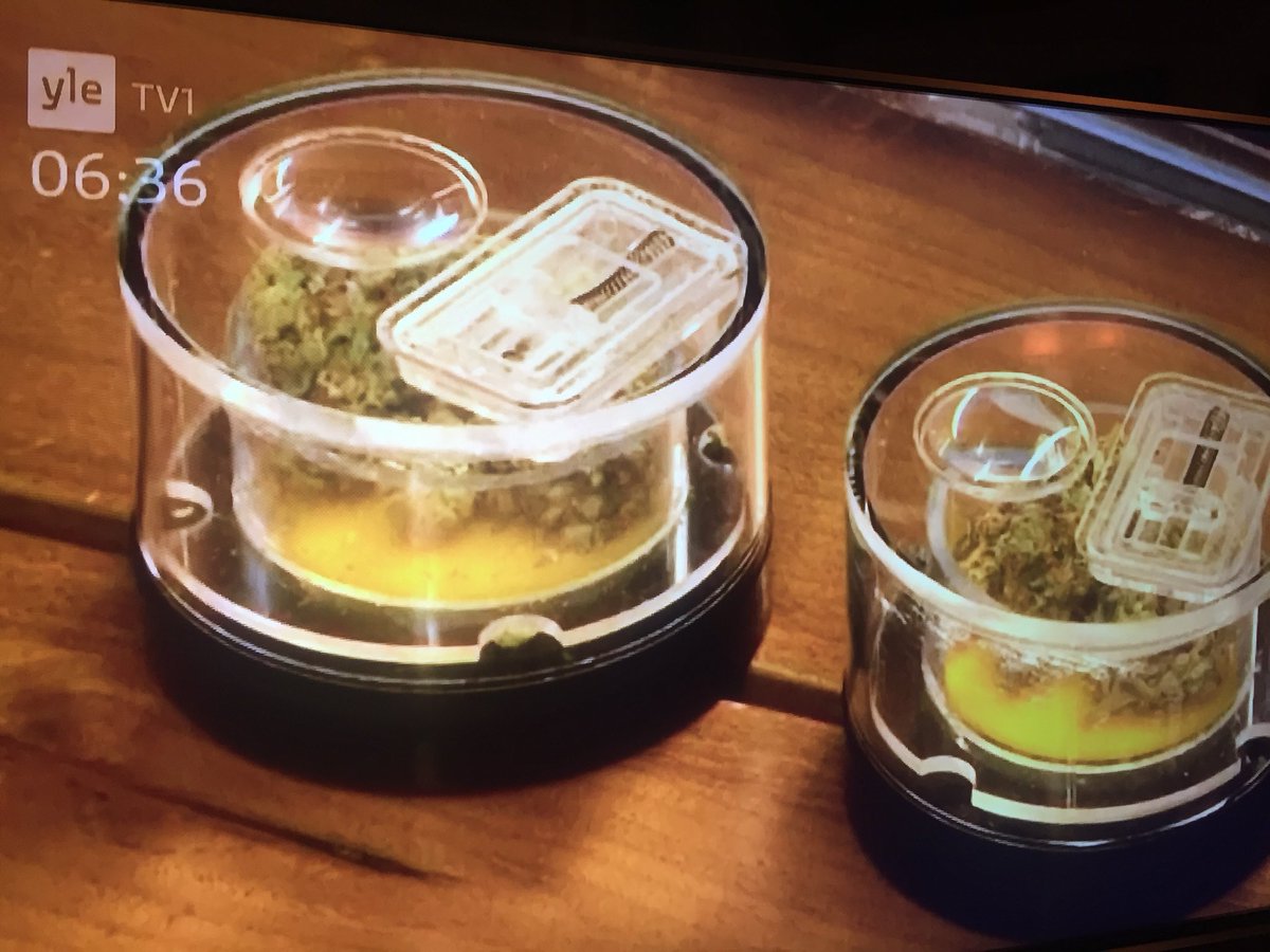 JyrkiJalkanen's tweet photo. Yhdysvalloissa #lääkekannabis viedään pörssiin, Kanada valtaa maailmanmarkkinat, Tanska käynnistää viljelyn ja Suomi kyykkii yhä pusikoissa. Ryhdyttäisiinkö töihin, @SuomenEduskunta ? @Fimea https://t.co/jzgdgb4peB