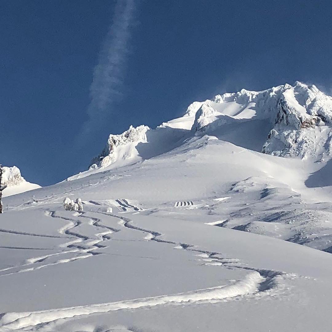 The #timberlinetruth is our two weeks of actual winter are happening right now so #gosnowboarding ‼️ 📷 @timberlinelodge #deepandlight #itsdumping #oregonrocks