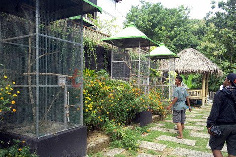 team_touring's tweet photo. Istana Penangkaran Burung Wukirsari Dan Konsep Edukasi Yang Belum Mengena https://t.co/PgRYbG7QvD https://t.co/s1EvPmWpyJ