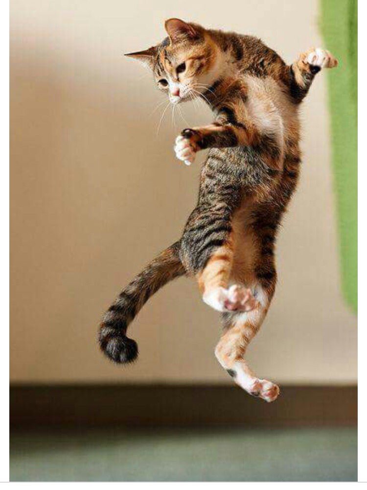 CheathamColton's tweet image. 