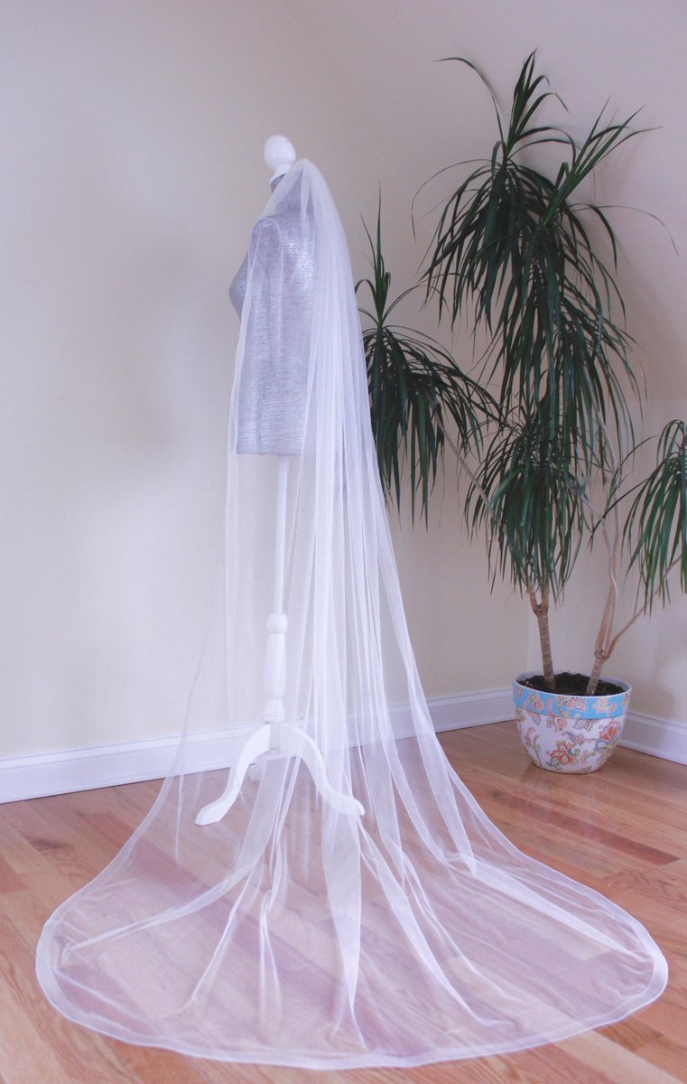 Horsehairve Hashtag On Twitter