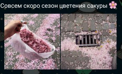 Nuvola_Decimo's tweet photo. Хм. Кажется пора взять отпуск на этот сезон. https://t.co/Ehkho7TRx4