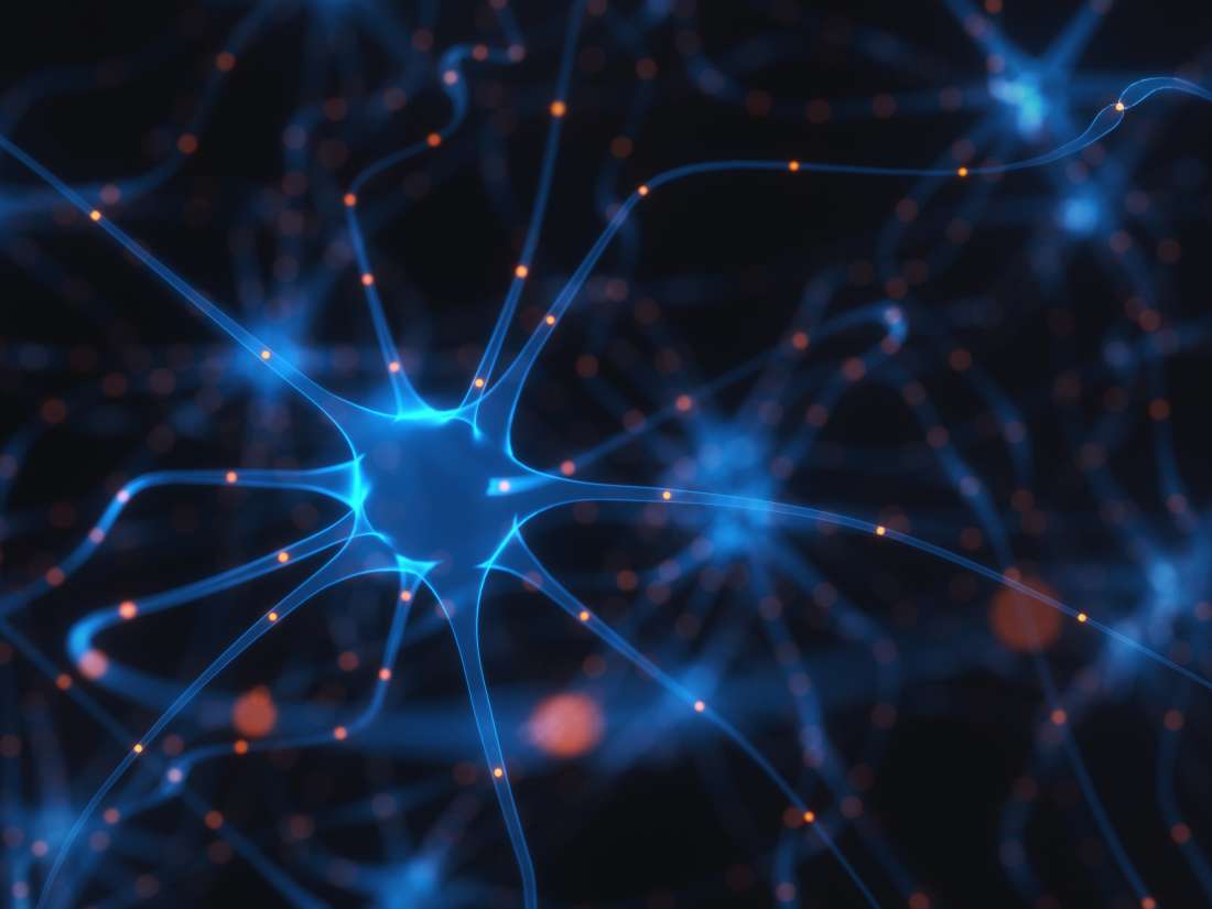 Spine2024's tweet photo. Discuss and learn how Skin cells may help to repair #nerve_damage
@Neurology2018
Learn more @ https://t.co/CwzY6fUfK8
#MultipleSclerosis
#Neurology #neuroscience #conference #neuromarketing #Neurosurgery
#neurological_disorders https://t.co/Xfu9HFI2zU
