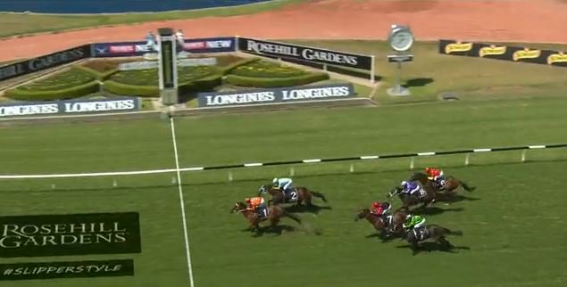 KitchwinHills's tweet image. That's 3 in a row for All Too Soon, the daughter of multiple Group 2 winner Gallant Tess by #Alltoohard. Congratulations to her breeder John Cordina! Check out the replay here: bit.ly/2HSD6WG
Her 1/2 brother by Snitzel is Lot 148 @inglis_sales Easter #5weekstogo