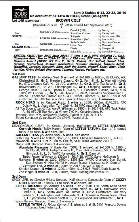KitchwinHills's tweet image. That's 3 in a row for All Too Soon, the daughter of multiple Group 2 winner Gallant Tess by #Alltoohard. Congratulations to her breeder John Cordina! Check out the replay here: bit.ly/2HSD6WG
Her 1/2 brother by Snitzel is Lot 148 @inglis_sales Easter #5weekstogo
