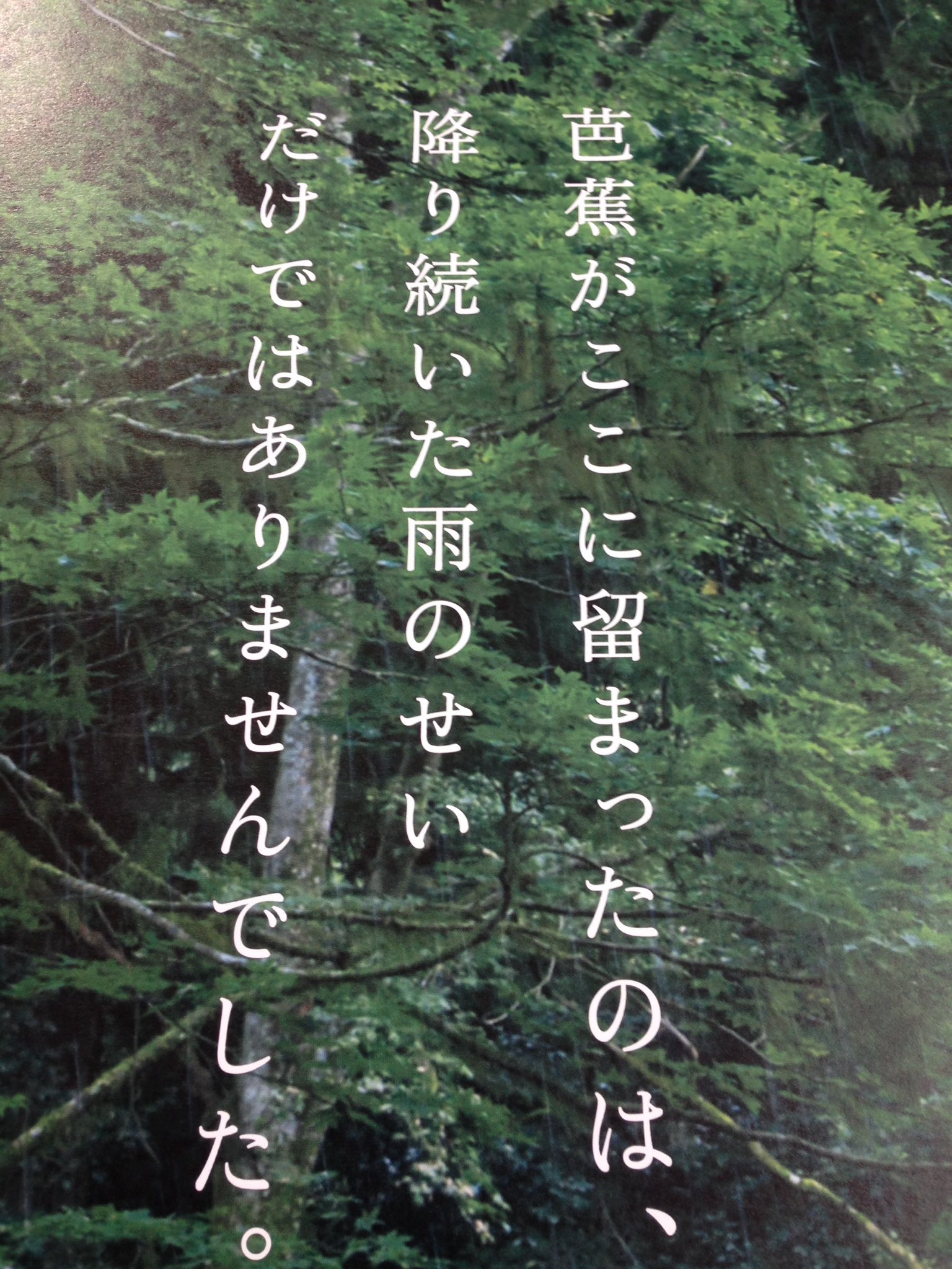 大田原市図書館 Twitter Search Twitter