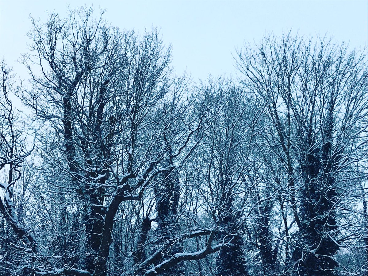 Daniel2604's tweet photo. We have had some light snow today 🌨❄️☃️ but we’re open and Neil and I are ready to assist with booking your next holiday in the sun ☀️🏌🏻♂️⛳️ #GolfTravel #golfholiday #golfbreak #escapetothesun #snowday #TheBeastFromTheEast #uksnow #Dunmow #timetobookaholiday https://t.co/cWnYLoPp74