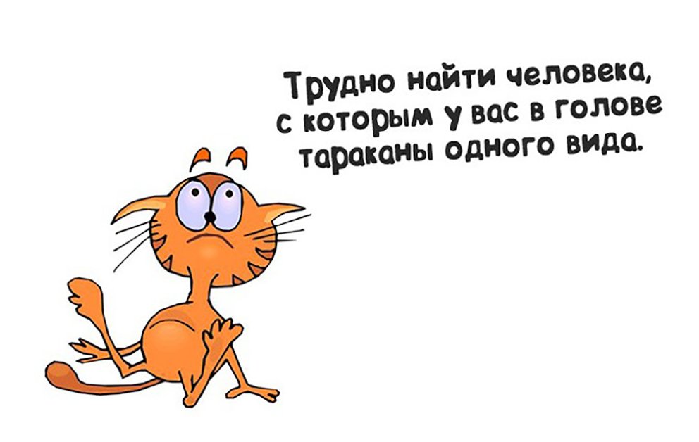 Прикольные открытки про возраст и тараканов в голове, открытку цветы фотографии