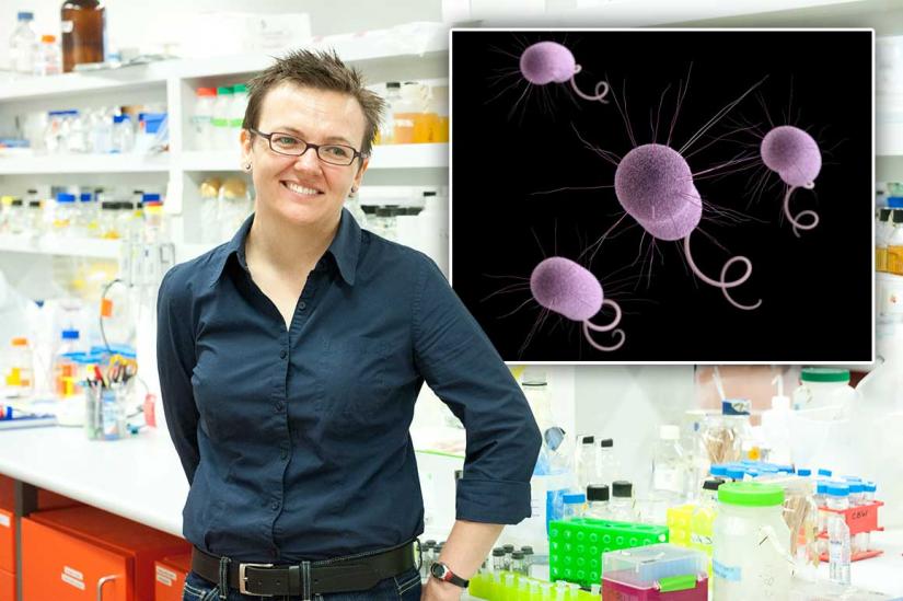 UTS_Science's tweet photo. Research led by @Cwhitch has huge potential in design of implanted biomedical devices, such as catheters, which remain a major source of hospital-acquired infections https://t.co/lqAEtsx4py #UTSresearch #antibioticresistance #womeninstem @UTSEngage https://t.co/z4Nv704TA4