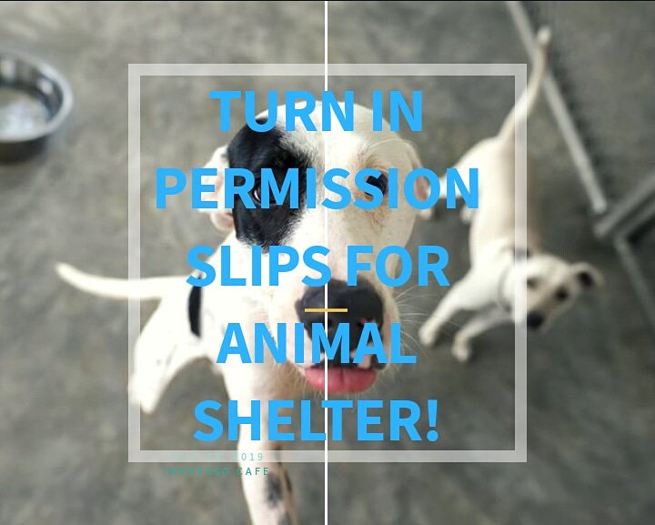 _MHSKeyClub's tweet image. Don't forget to turn in your permission slips ASAP in order to go to the animal shelter March 17th!