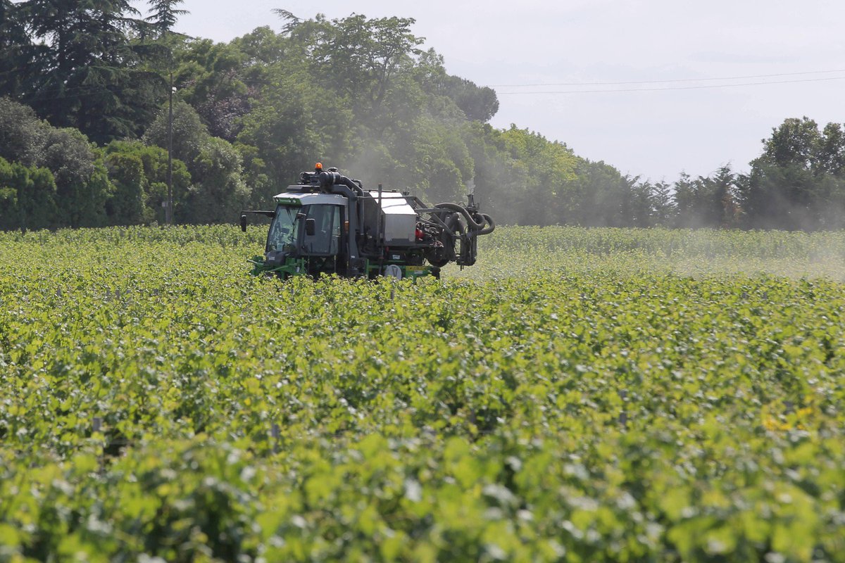 sudouest's tweet photo. "Cash Impact" sur les pesticides : partiel et partial pour le CIVB https://t.co/1BXz6jO4mc https://t.co/kS265ASWAV