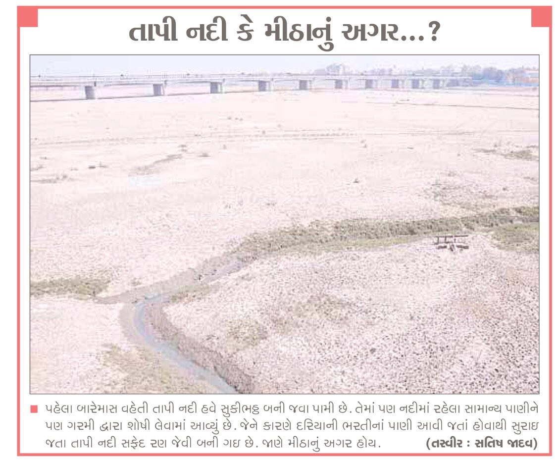 rajeshhmodi's tweet photo. @sanghaviharsh #RunForTapi was organised in year 2013 !!!! These are picture of today. Nothing happens just by running. Had it created awarness then things would have changed by today !!! #WhoCares for nature !!!! @CommissionerSMC @mnagarajan @swachhsurat https://t.co/sy34nVs8ko