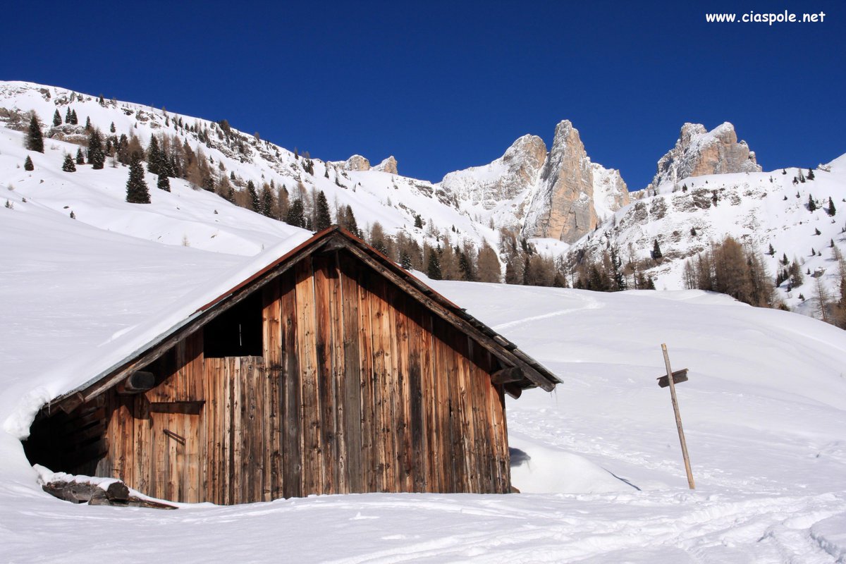 ciaspolenet's tweet photo. #Mondeval, che spettacolo tra val #Fiorentina e #Cortina
https://t.co/O34iVc5X1e
@valfiorentina @valfiorentina @ConsorzioCadore https://t.co/JPw0F9YIVq