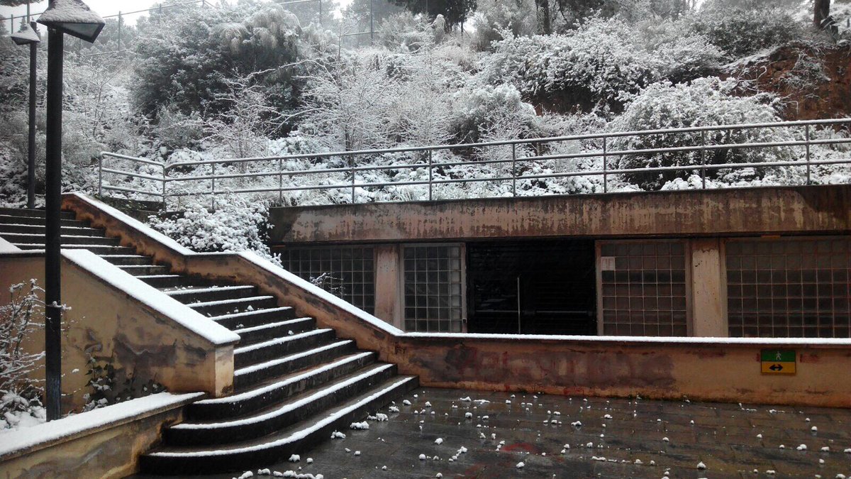 FacPsicoUB's tweet photo. Imatges d'ara de la Facultat de Psicologia al Campus Mundet https://t.co/ySP2y6Ongy