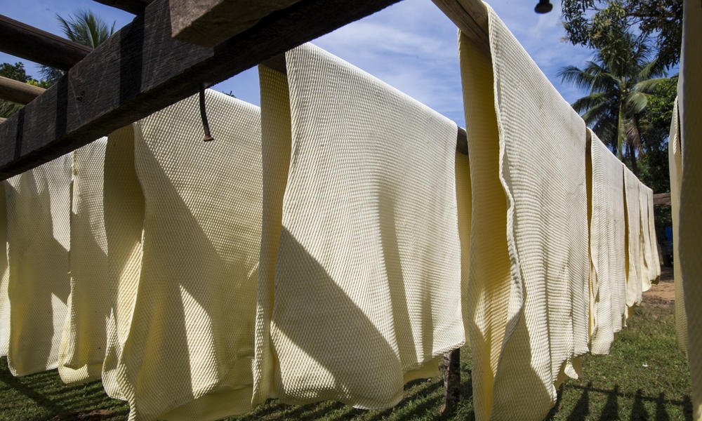 proforest's tweet image. A New Approach to #RubberProduction that Will Help Conserve #Forests @WWF worldwildlife.org/blogs/on-balan…