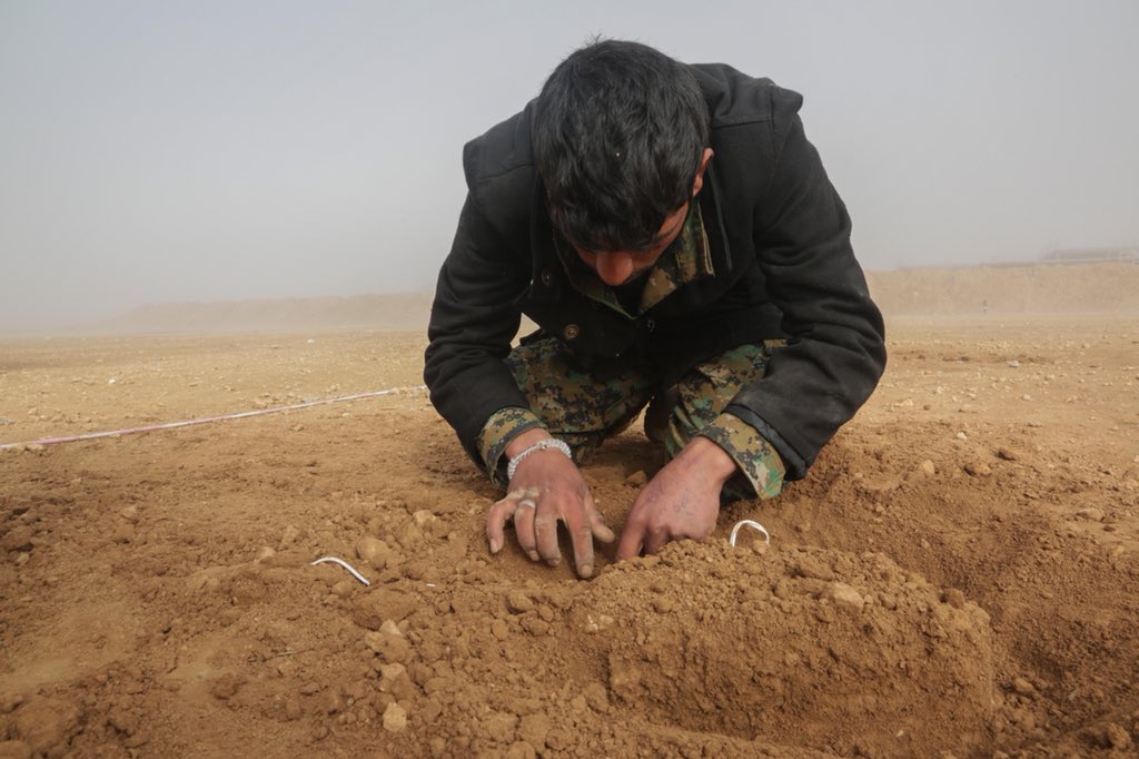 OIRSpox's tweet photo. Students from SDF attend basic counter improvised explosive device course. Trainees sweep through dirt, exposing fake IEDs, &amp; learn to dismantle/reduce threats. @CJTFOIR training enhances partner capacity, focusing on improving security capabilities. https://t.co/Jai9L3vB1l