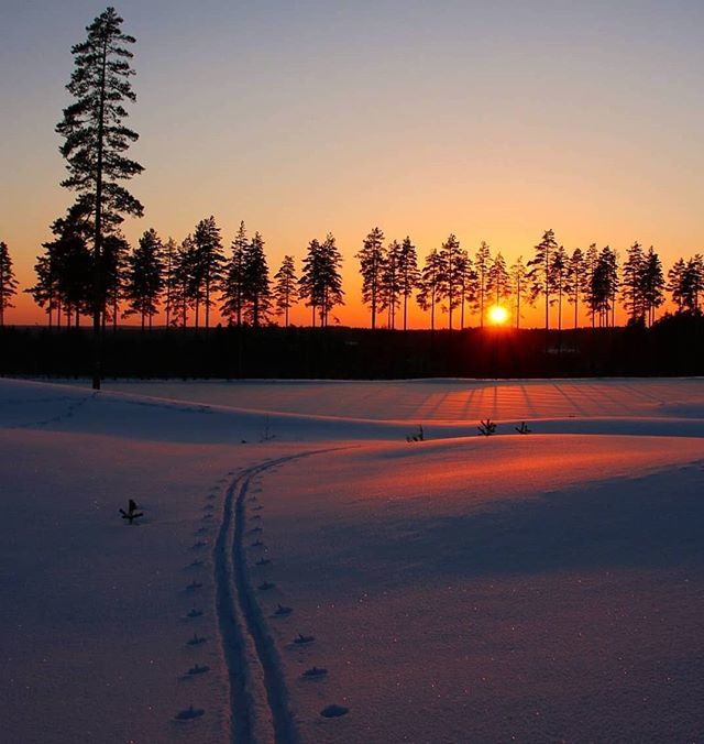 @finnishtime took this great pic! 🎿🌲 Skiing when the sun shining or setting should be experienced by everyone. Skiing can be considered as a national sport in Finland as it is something that we all Finns learn as kids and our success in Olympics came from skiing. 🥇🥈 This…