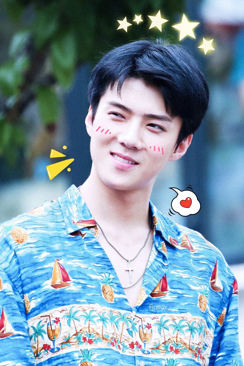 softbotOSH's tweet image. ﾐ☆ #SEHUN #오세훈 #exo  ☆ﾐ