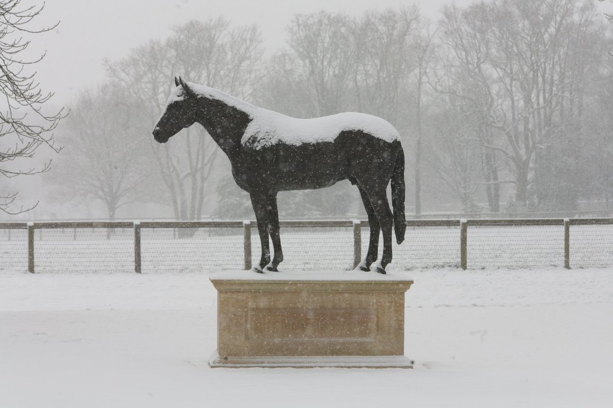 JuddmonteFarms's tweet photo. FRANKEL statue has a white blanket today at Banstead Manor Stud #snow #beastfromtheeast https://t.co/JO9IlhaugC